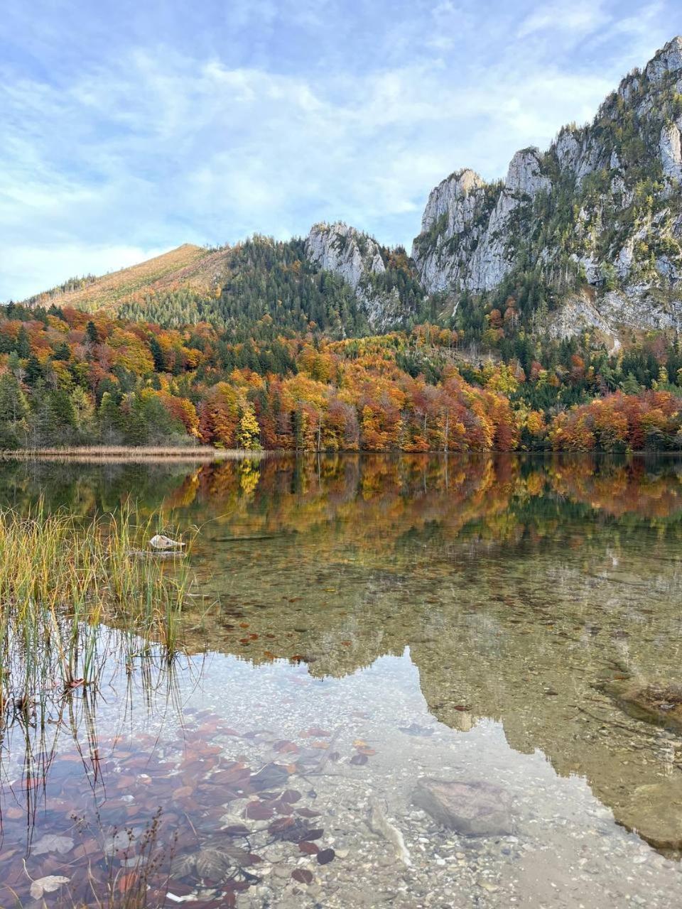 Pension Schindlau Scharnstein Luaran gambar